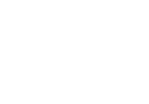 International Mega Standard
